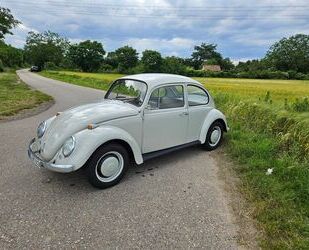 VW Volkswagen VW Käfer 1200A (Sparkäfer) Gebrauchtwagen