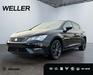 Seat Seat Leon 2.0 TDI DPF DSG Xcellence *ACC*Pano*CAM* Gebrauchtwagen