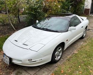 Pontiac Pontiac Firebird 3,8l V6 Gebrauchtwagen