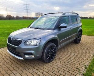 Skoda Skoda Yeti 2.0 TDI DSG 4x4 Drive Drive Gebrauchtwagen