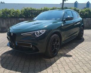 Alfa Romeo Alfa Romeo Stelvio 2.9 Bi-T. V6 375kW Quadrifoglio Gebrauchtwagen