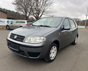 Fiat Fiat Punto 1.2 8V Dynamic / Klima Gebrauchtwagen