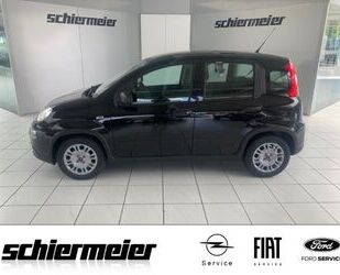 Fiat Fiat Panda Firefly Klima Radio DAB/USB/Freisprech Gebrauchtwagen