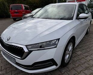 Skoda Skoda OCTAVIA 1,5 ETSI MILD HYBRID DSG7 STYLE AHK, Gebrauchtwagen