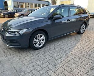 VW Volkswagen Golf VIII Var.Life2.0TDI-ACC-LED-Massag Gebrauchtwagen