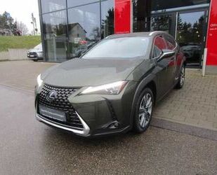 Lexus Lexus UX 250h Luxury Line Navi/Leder/4x4 Gebrauchtwagen