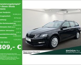 Skoda Skoda Octavia Combi Ambition Pano Climatronic Heck Gebrauchtwagen