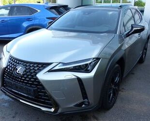 Lexus Lexus UX 250h Style+ Edition Gebrauchtwagen