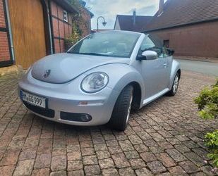 VW Volkswagen Beetle Gebrauchtwagen