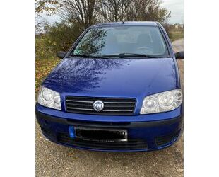 Fiat Fiat Punto 1.2 8V - Gebrauchtwagen