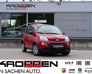 Fiat Fiat Pandina 1,0 GSE Hybrid City Paket Gebrauchtwagen