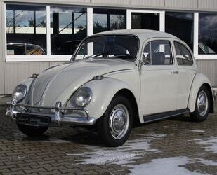 VW Volkswagen Käfer 1200 Export * Krabbler sucht neue Gebrauchtwagen