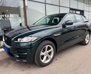 Jaguar F-Pace Gebrauchtwagen