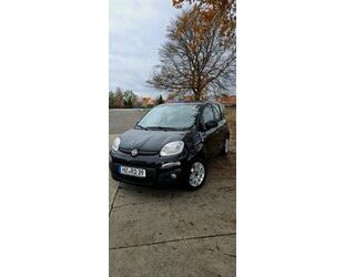 Fiat Fiat Panda Gebrauchtwagen