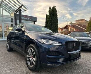 Jaguar Jaguar F-Pace F-PACE Pure AWD Gebrauchtwagen