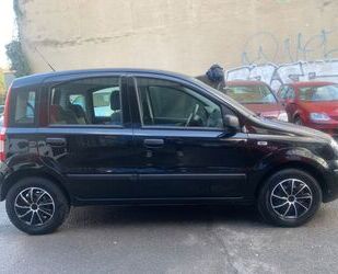 Fiat Fiat Panda 1.2 8V Dynamic AUTOMATIK TÜV NEU Gebrauchtwagen