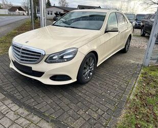 Mercedes-Benz Mercedes-Benz E220 BlueTec E-Klasse*Autom.*Kamera* Gebrauchtwagen