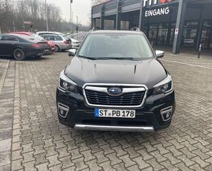 Subaru Subaru Forester 2.0ie Platinum Lineartronic Platin Gebrauchtwagen