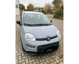 Fiat Fiat Panda 1.0 GSE Hybrid - Neuwagenzustand! Gebrauchtwagen