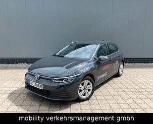 VW Volkswagen Golf VIII Life 2.0 TDI Navi LM-Felgen F Gebrauchtwagen