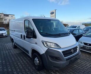 Fiat Fiat Ducato Kasten**L2H1 RS: 3450 mm** 1. Hand Gebrauchtwagen