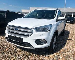 Ford Ford Kuga 2,0 TDCi 4x4 Automatik Gebrauchtwagen