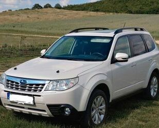 Subaru Subaru Forester 2.0X Comfort Automatik Comfort Gebrauchtwagen