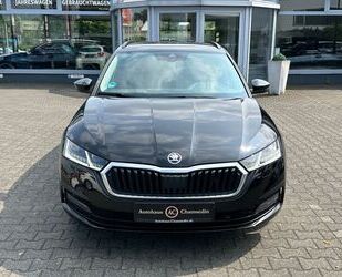 Skoda Skoda Octavia Combi Ambition Gebrauchtwagen