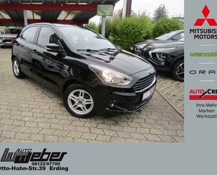 Ford Ford Ka + 1.2 Ti-VCT Cool & Sound FSE KLIMA PDC R Gebrauchtwagen