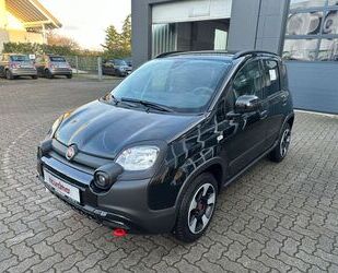 Fiat Fiat Panda Techpaket Crosspaket Komfortpaket Gebrauchtwagen