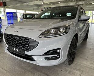 Ford Ford Kuga FHEV Hybrid ST-Line X Gebrauchtwagen