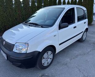 Fiat Panda Gebrauchtwagen