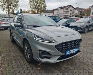 Ford Ford Kuga Hybrid ST-Line X Gebrauchtwagen