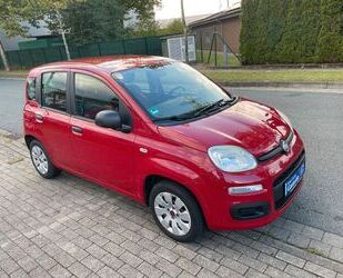 Fiat Fiat Panda 1.2 Rentnerfahrzeug 64.000KM TÜV 03/202 Gebrauchtwagen