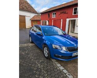 Skoda Skoda Octavia 1.6 TDI SCR Ambition Combi Ambition Gebrauchtwagen