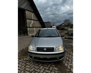 Fiat Fiat Punto 1.2 8V - 8-fach bereift Gebrauchtwagen