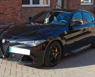 Alfa Romeo Alfa Romeo Giulia Quadrifoglio Gebrauchtwagen