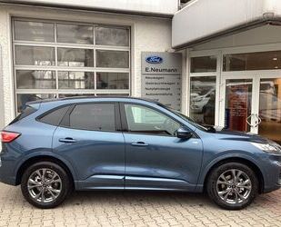 Ford Ford Kuga ST-Line Gebrauchtwagen