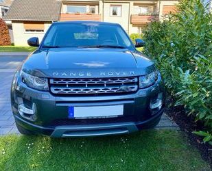 Land Rover Land Rover Range Rover Evoque 2.0 TD4 110kW Pure Gebrauchtwagen