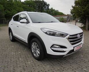 Hyundai Hyundai Tucson blue Intro Edition 2WD Gebrauchtwagen