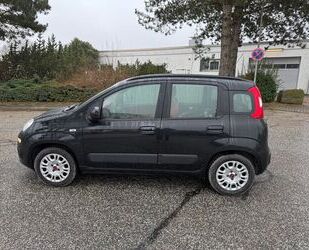 Fiat Fiat Panda 1.2 Lounge**Nur 31 TKM** Gebrauchtwagen