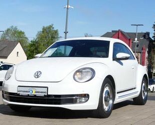 VW Volkswagen Beetle 1.2 TSI BMT Cup KLIMA PDC SHZ Gebrauchtwagen