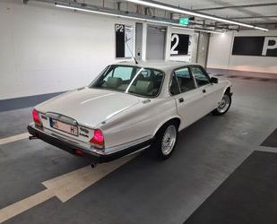 Jaguar Jaguar XJ Serie 3 V12 gepflegt H-Kennzeichen TÜV Gebrauchtwagen