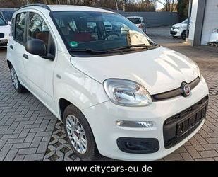 Fiat Fiat New Panda 1.2 8V LOUNGE Klimaanlage Gebrauchtwagen