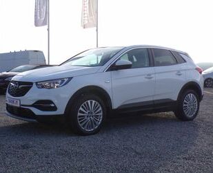 Opel Opel Grandland (X)/DYNAMIC/KAMERA/TEMPO/TEIL-LEDER Gebrauchtwagen