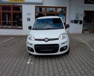 Fiat Fiat Panda Easy Gebrauchtwagen