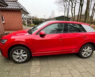 Audi Audi Q2 1.6 TDI sport sport Gebrauchtwagen