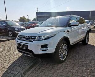 Land Rover Land Rover Range Rover Evoque Pure*Automatik*TÜV 0 Gebrauchtwagen