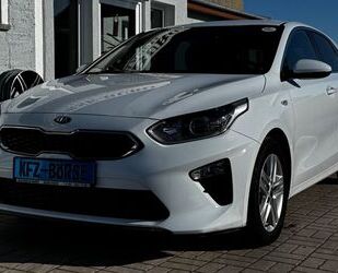 Kia Kia ceed *Garantie*Lenkradhz*Stzh*Carplay*Kamera* Gebrauchtwagen