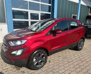 Ford Ford EcoSport Trend/Alu/Winterpaket/Telefonfreispr Gebrauchtwagen